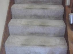 carpet cleaning stairs 4 before